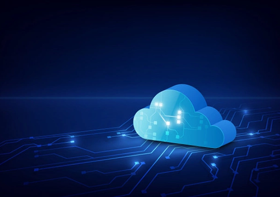 Microsoft Office 365 Business