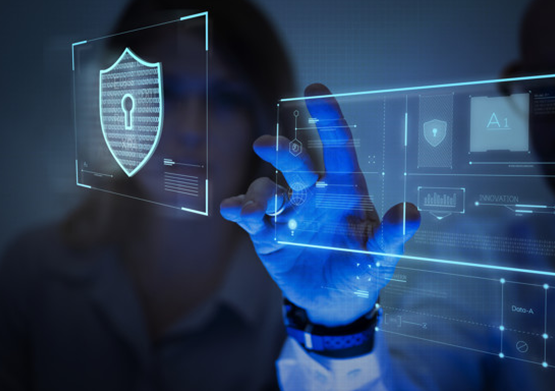 PROFESSIONAL CYBERSECURITY COMPANY