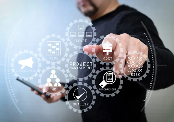 IT PROJECT MANAGEMENT SERVICES